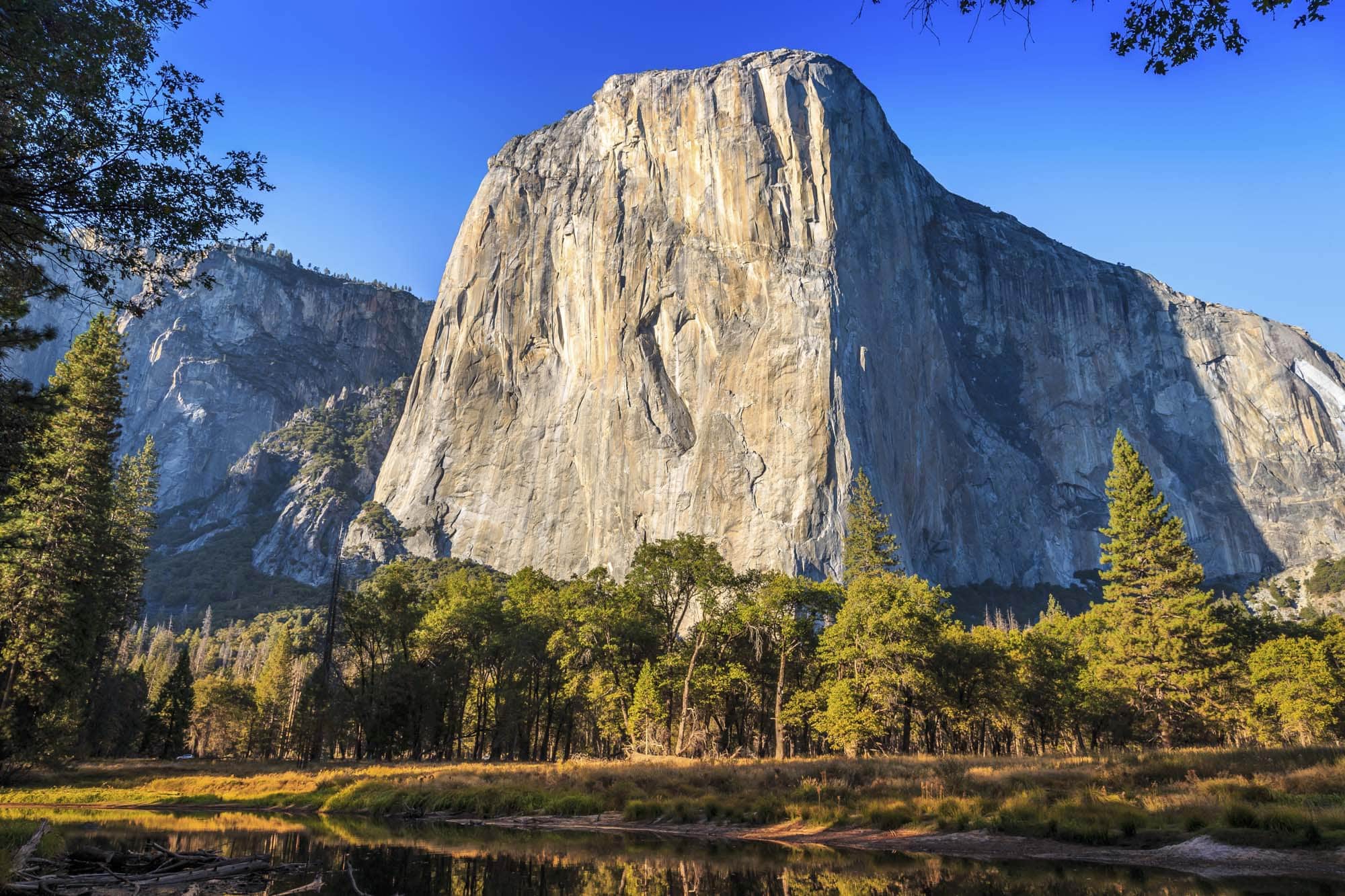 large mountain rock surrounded by trees